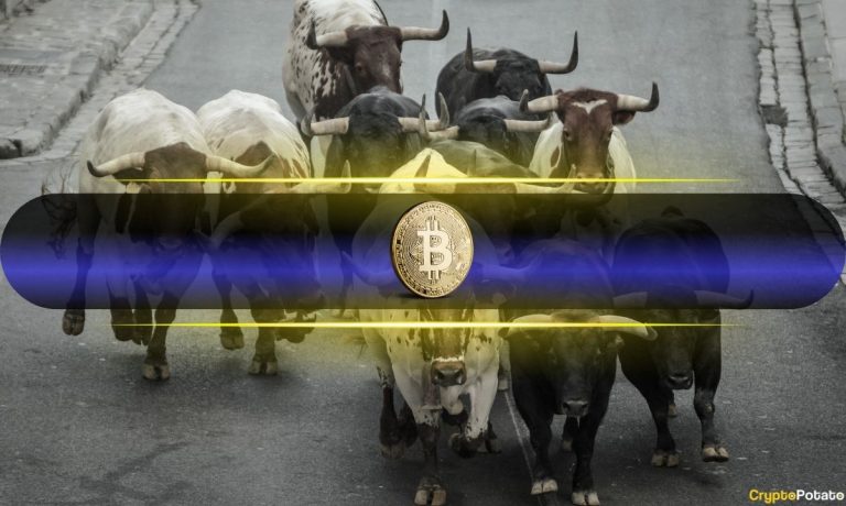 Crypto Sentiment Flips Bullish as XWIN Trend Index Climbs to 72